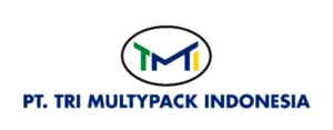 cropped-LOGO-TMI-300x117